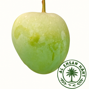 হাড়িভাঙ্গা আম (Haribhanga Mango)