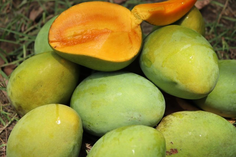 হাড়িভাঙ্গা আম (Haribhanga Mango) - Image 2
