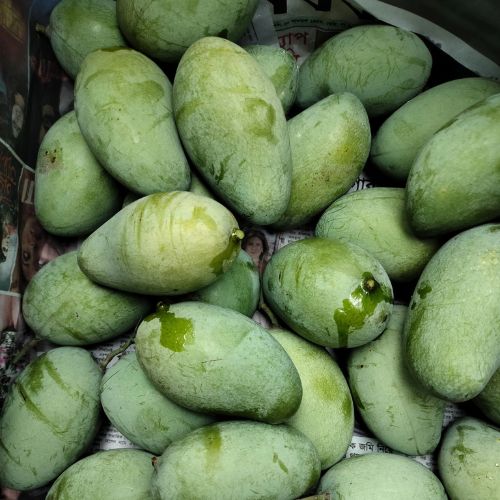 আম্রপালি আম